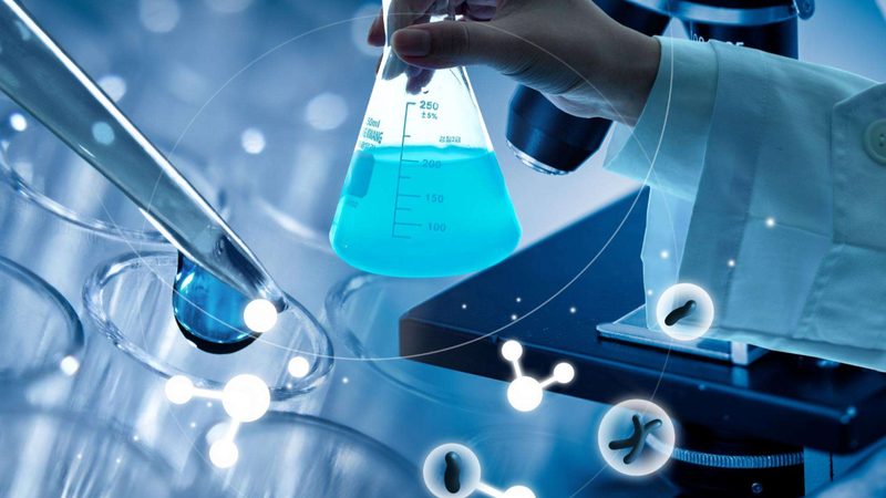 分子生物学试剂：如何选择合适的厂家与价格