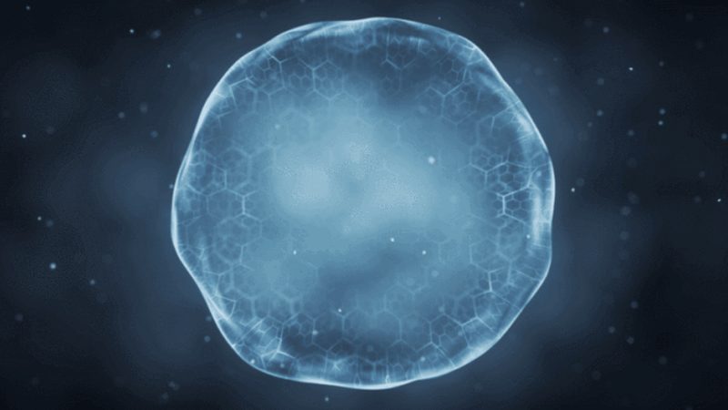 生物制品出口，报关清关，这些关键步骤你了解吗？**