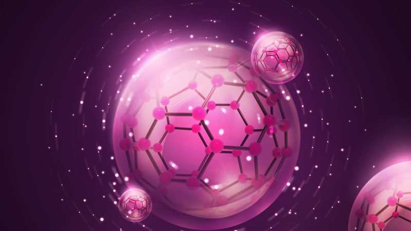 果蔬加工酶：揭秘其价格背后的秘密**