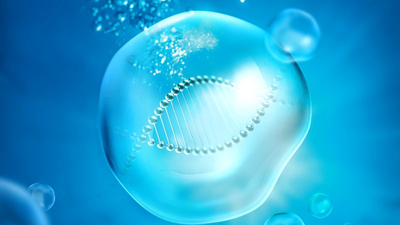 离心管材质耐腐蚀性：揭秘实验室安全与效率的守护者**