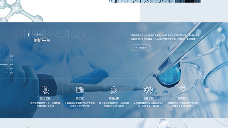 CDMO报价背后的考量：规模差异与成本平衡