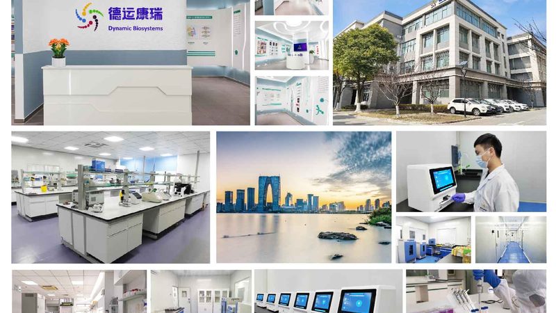 科研分子克隆试剂：揭秘其背后的科学奥秘**