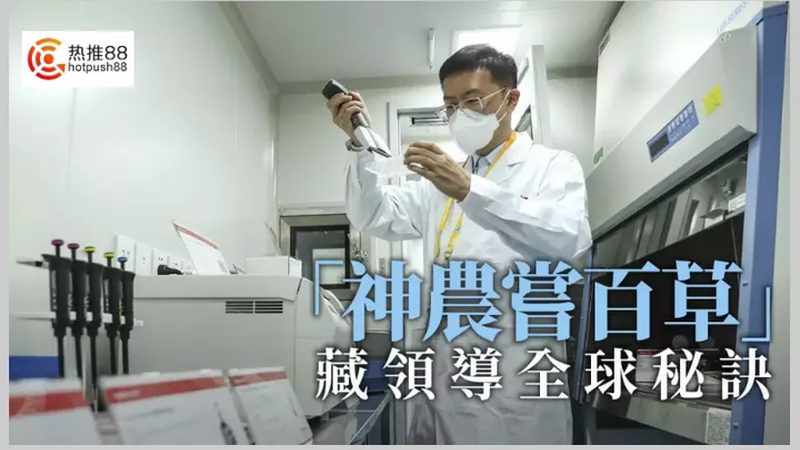 引物合成行业：价格趋势解析与影响因素