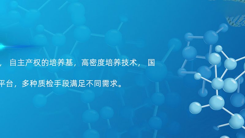 引物合成OD值与PCR扩增周期的关联解析