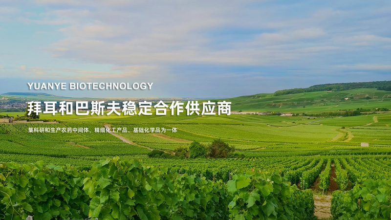治疗性抗体价格波动背后的行业逻辑**