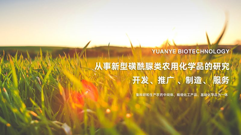 引物合成：如何选择可靠的合作伙伴**
