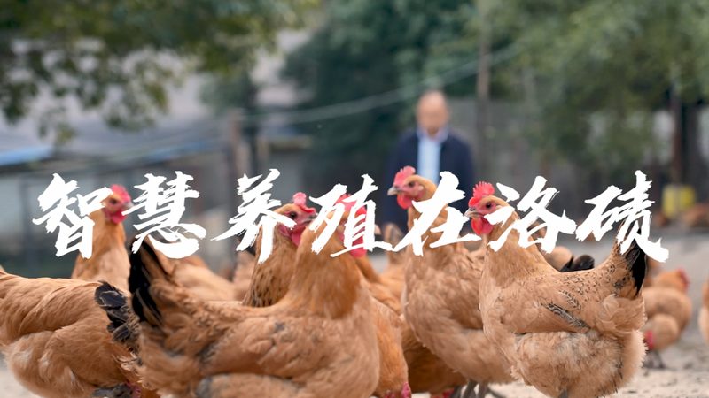 核酸检测，在家也能轻松完成？**
