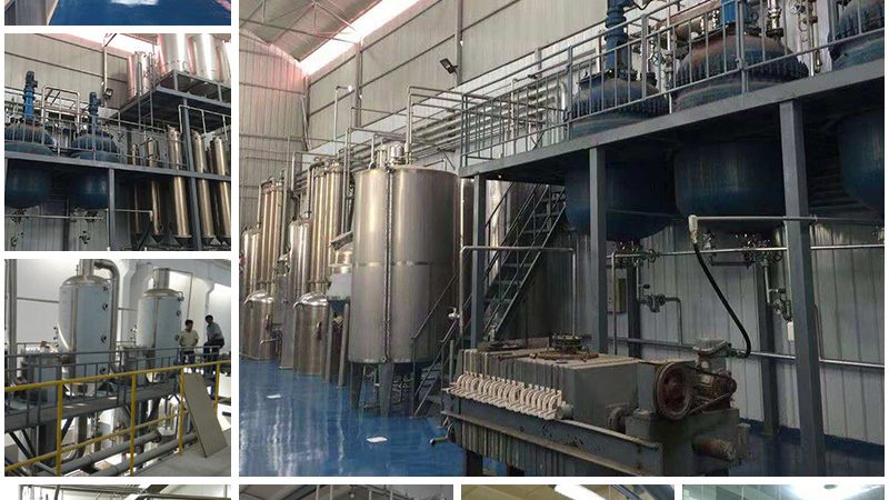 食品工业蛋白酶：揭秘其应用与选购要点