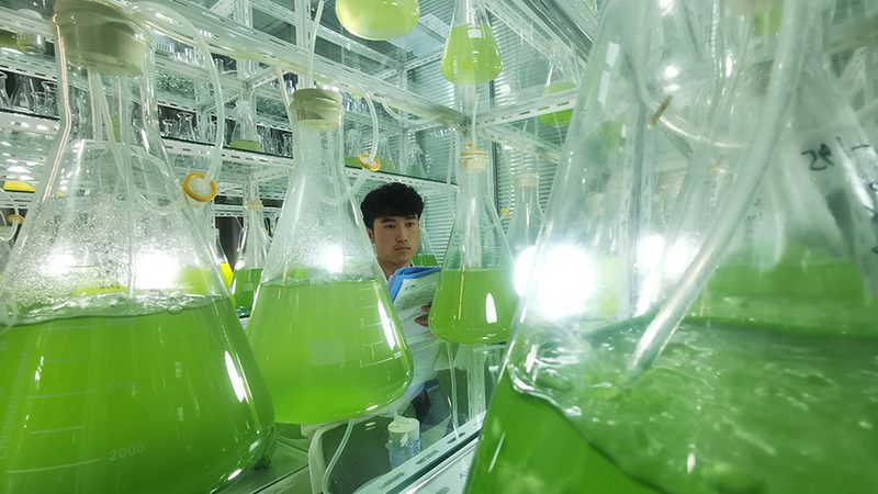 液体培养基与干粉培养基：保存差异及选用指南